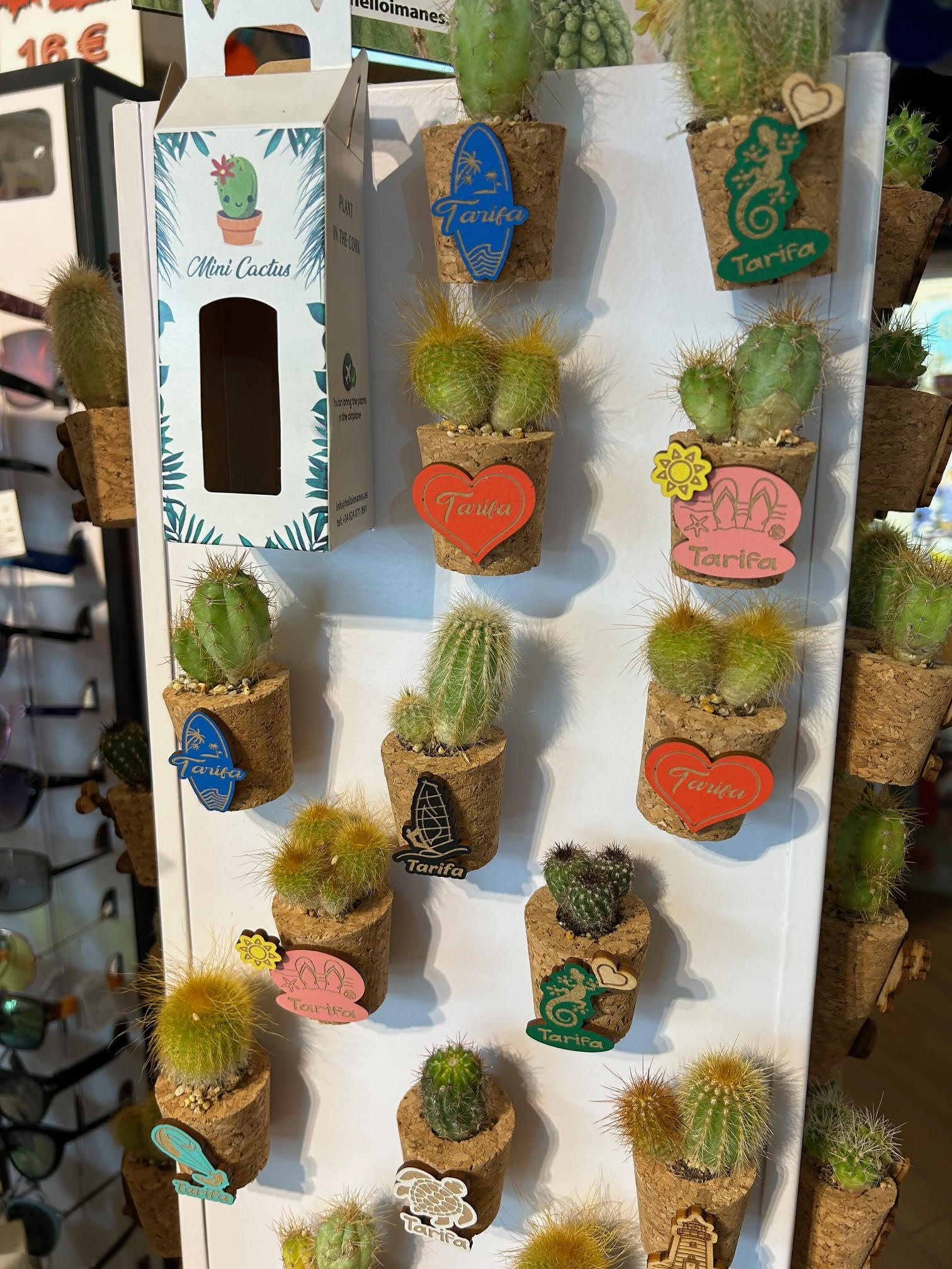 Cactus Personalizados